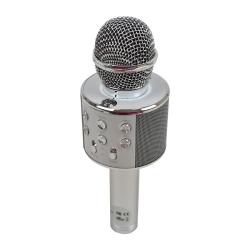 ELJET Karaoke mikrofon Globe Silver