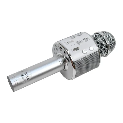 ELJET Karaoke mikrofon Globe Silver