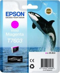 EPSON cartridge T7603 Vivid Magenta (kosatka) EPSON cartridge T7603 Vivid Magenta (kosatka)