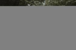 Force BRIGHT čierne 3/4 cyklonohavice so šrákmi a vložkou