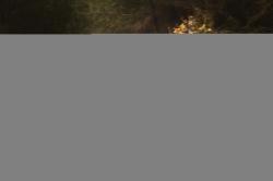 Force GOLD čierny pánsky cyklodres - dlhý rukáv