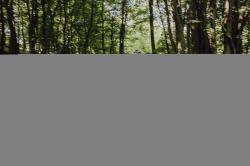 Force MTB MOUNT LADY modrý dámský dres - kr. rukáv