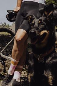 Force Ponožky STRIPE dlouhé růžové