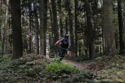 Force RECKLESS černo-růžovo-fluo mtb dres + Force STORM černo-růžové cyklokraťasy