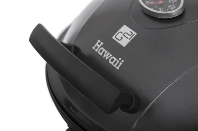 G21 Gril Hawaii, Elektrický