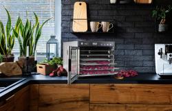 G21 Sušička ovoce Breezer, nerez