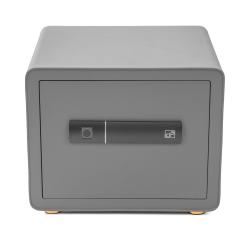 G21 Trezor na otisk prstu 380 x 310 x 300 mm