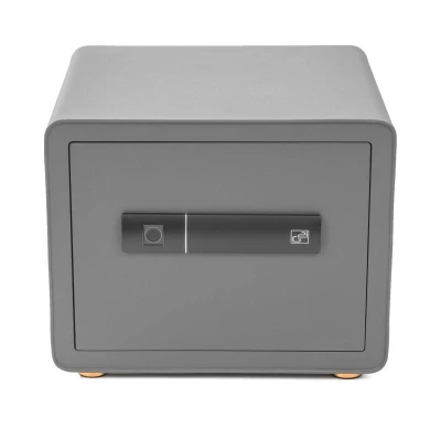 G21 Trezor na otisk prstu 380 x 310 x 300 mm