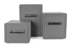 G21 Trezor na otisk prstu 380 x 310 x 300 mm