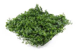 G21 Umělá zelená stěna Listo Berry, 50x50 cm