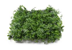 G21 Umělá zelená stěna Listo Berry, 50x50 cm