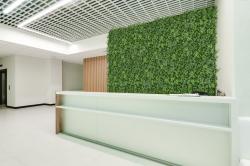 G21 Umělá zelená stěna Listo Berry, 50x50 cm