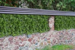 G21 Umělá zelená stěna Listo Berry, 50x50 cm