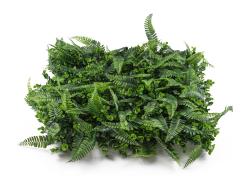 G21 Umělá zelená stěna Listo Ferns, 50x50 cm