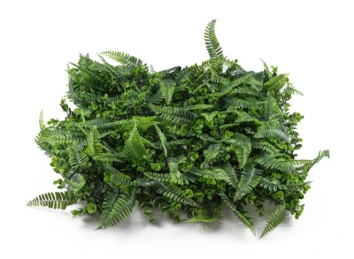 G21 Umělá zelená stěna Listo Ferns, 50x50 cm
