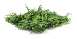 G21 Umělá zelená stěna Listo Ferns, 50x50 cm