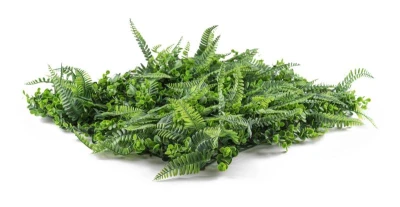 G21 Umělá zelená stěna Listo Ferns, 50x50 cm