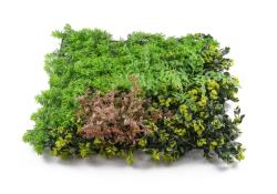 G21 Umělá zelená stěna Listo Forest, 50x50 cm