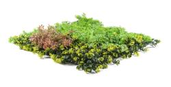 G21 Umělá zelená stěna Listo Forest, 50x50 cm