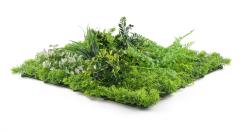 G21 Umělá zelená stěna Listo River, 50x50 cm