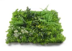 G21 Umělá zelená stěna Listo River, 50x50 cm