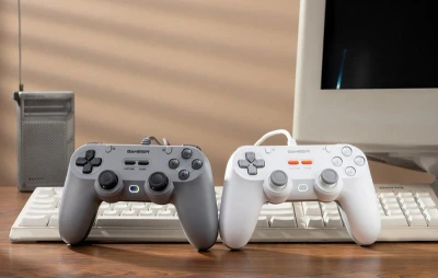 Gamesir Drátový ovladač T3 GY Tegenaria Lite šedý