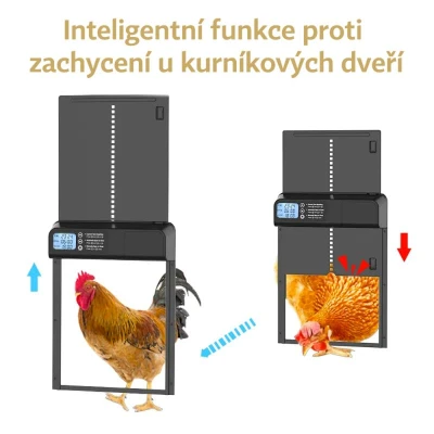 Garden King Automatická programovatelná dvířka ke kurníku PFS-155