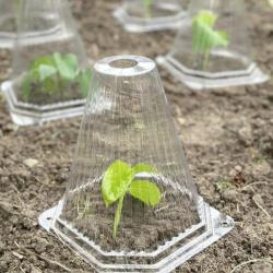 Garden King Ochranný kužel na rostliny 10 ks (VÝPRODEJ)