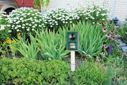 Garden King Solární elektronický odpuzovač MULTI PLUS AN-B030