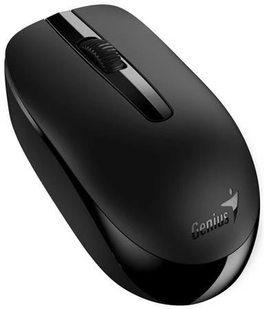 Genius NX-7007 Myš, bezdrátová, optická, 1200dpi, 3 tlačítka, Blue-Eye senzor, USB, černá Genius NX-7007 Myš, bezdrátová, optická, 1200dpi, 3 tlačítka, Blue-Eye senzor, USB, černá