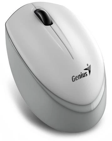 Genius NX-7009 Myš, bezdrátová, optická, 1200DPI, 3 tlačítka, Blue-Eye senzor, USB, bílo-šedá Genius NX-7009 Myš, bezdrátová, optická, 1200DPI, 3 tlačítka, Blue-Eye senzor, USB, bílo-šedá