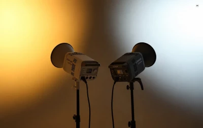 Godox Litemons LE300Bi černé LED svítidlo