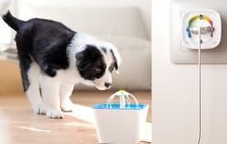 Gosund Chytrá zásuvka EP8-M 16A WiFi (Xiaomi)