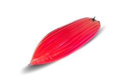 Gumotex Safari 330 SET - 3 (V ceně: pádlo + vesta + transportní obal + obal na mobil EG + pumpa + lepení) + sleva 1500,- na příslušenství