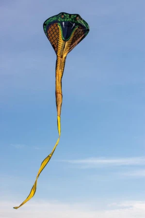 COBRA 3D drak pro děti 69 x 400 cm
