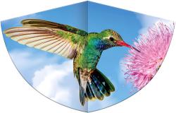 KOLIBRI 75x48 cm KOLIBRI 75x48 cm