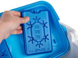 HAPPY GREEN Box chladicí 24l MO