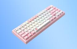 Havit Mechanická herní klávesnice KB874L RGB (růžová a bílá)