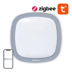Heiman Chytrý snímač pohybu Zigbee HS1MS-E Tuya