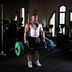 HMS Barevný bumper kotouč CBR 5 kg