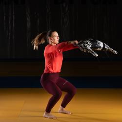 HMS Bulgarian bag WBF05 5 kg