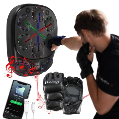 HMS Elektronický boxerský terč TB10 s LED, Bluetooth a rukavicemi (Music Boxing Machine)