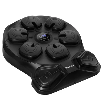 HMS Elektronický boxerský terč TB13 s LED, Bluetooth a rukavicemi (Music Boxing Machine)