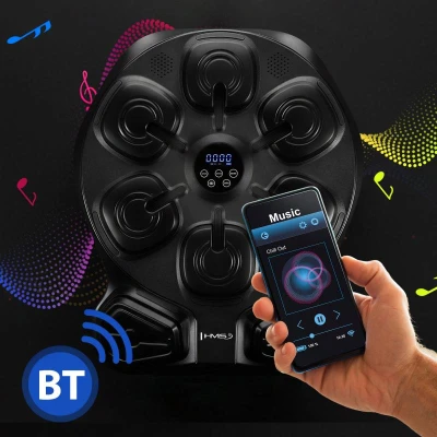 HMS Elektronický boxerský terč TB13 s LED, Bluetooth a rukavicemi (Music Boxing Machine)