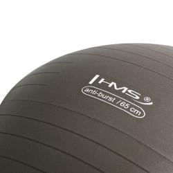 HMS Gymnastický míč YB02N 65 cm bronzový