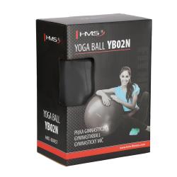 HMS Gymnastický míč YB02N 65 cm černý