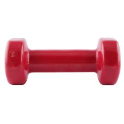 HMS Litinová činka pokrytá vinylem 2 kg