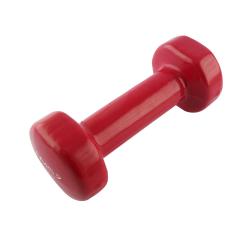 HMS Litinová činka pokrytá vinylem 2 kg