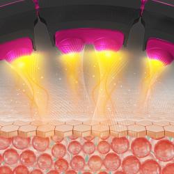 HMS Masážní hula hoop HHM16 se závažím, magnety a počítadlem černá