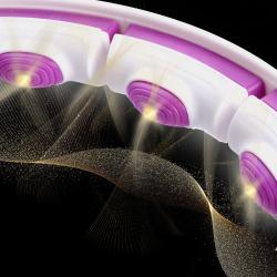 HMS Masážny hula hoop HHM17 so závažím, magnetmi a počítadlom biela/fialová